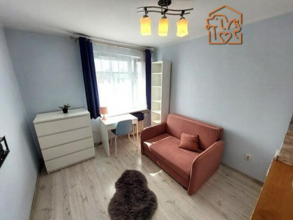 Zbigniewa 2,Szwederowo,przyjazne zwierzętom studio