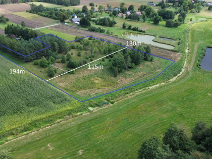 Działka,Luta, Włodawa, 1,5 ha, budowlana, urokliwa