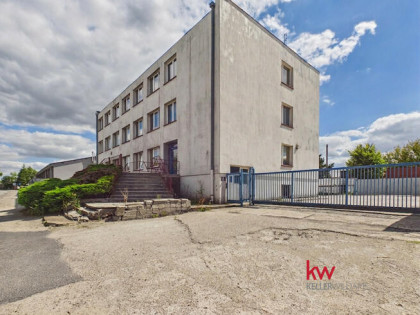 Lokal użytkowy Gniezno, Aleje Władysława Stanisława Reymonta