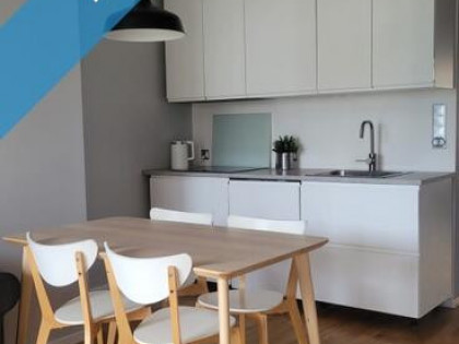 Poznan Centrum Grunwald 3 pokoje apartament przy parku