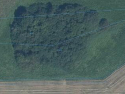 Działka 9 564 m² pod domki turystyczne, 250 m od jez. Studa