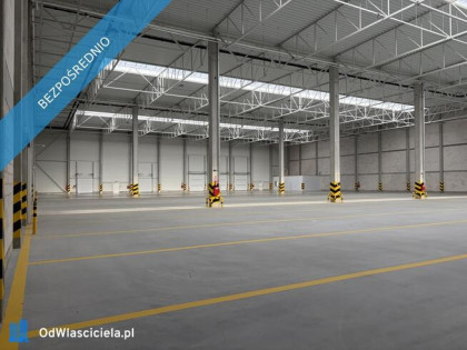 Nowa hala magazynowa - 11 metrów wysokości - S8