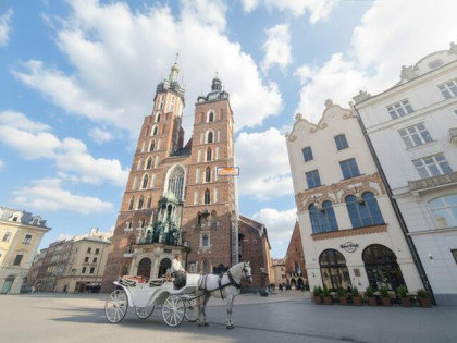 Mieszkanie Kraków Stare Miasto, Sienna