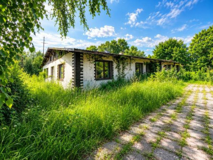 Dom z budynkami gospodarczymi Steklin | Udział 3/4 | 260100