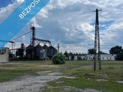 Ferma trzoda/drobiu