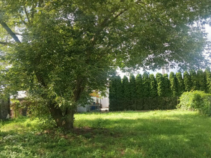 Działka budowlana Warszawa gm. Białołęka Białołęka, Łanowa
