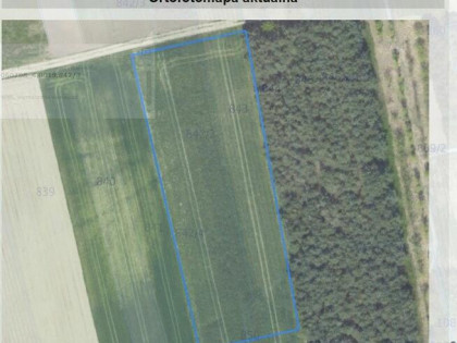 Działka Budowlano Usługowa Bez Sąsiadów Przy Lesie - 36 AR
