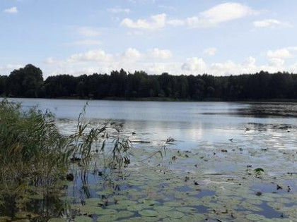Działka rekreacyjna nad jeziorem, 706m2, prąd, woda, Chodecz