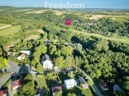 Działka z własnym lasem (43 ar),blisko sanktuarium