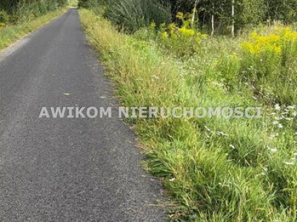 Działka usługowa Radziejowice