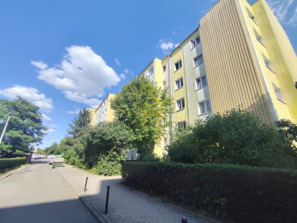 Duże 3 pokoje z balkonem i piwnicą//Bacciarellego!