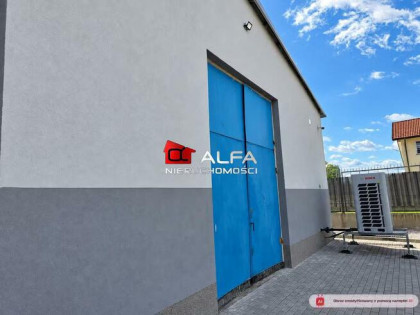 Lokal użytkowy Świdnica