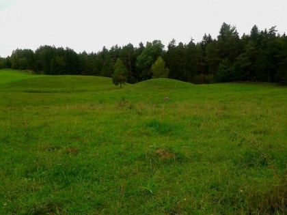 Działka o powierzchni 0,5442 ha - Wólka, gm. Filipów