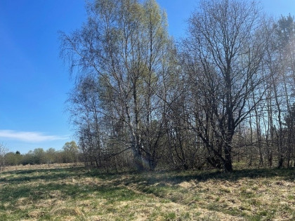 Działka Białogard, ul. Tadeusza Nalepy