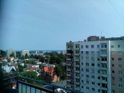 kawalerkę w Gdańsku Oliwie wynajmę
