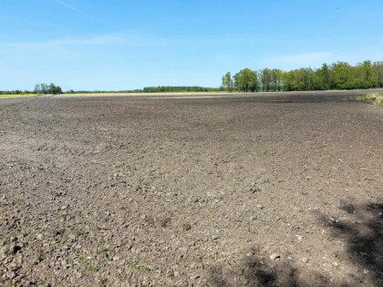 Działki rolne - orne 2,20 ha gmina Dębowa Kłoda