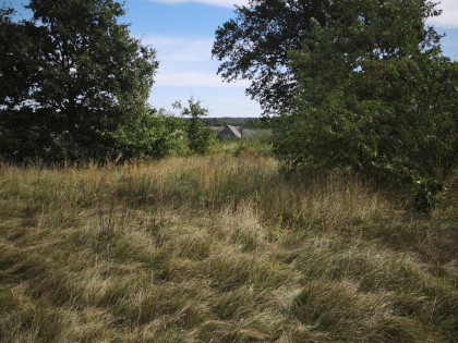 Działka Strzemieczne-Wiosny