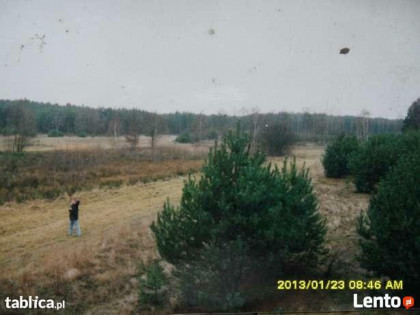 Ziemia-działka 9,1ha.ZAMIANA.Drezdenko-Chełst-Drawsko,ZAMIAN
