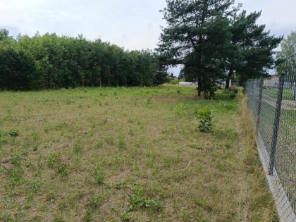 Działka budowlana 1500 m2 dogodne wymiary, media w drodze.