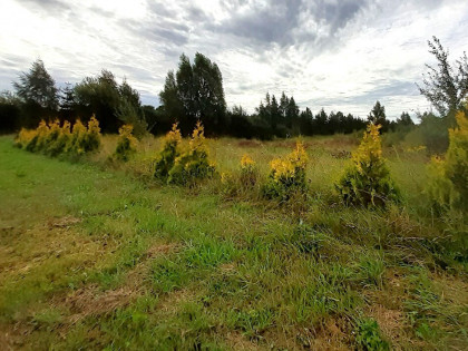Glincz/działka budowlana