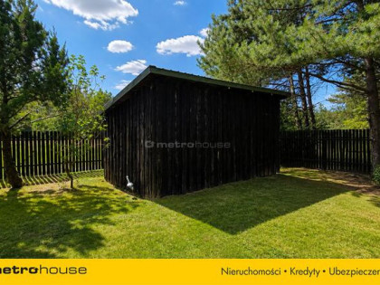 Dom w lesie  138 m²  działka 1,06 ha  Młyniec