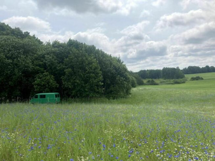 Na sprzedaż działka Roztoka - Nowa Wieś Przywidzka