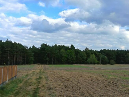 Działka budowana Łęg Ręczyński- Placówki gm. Ręczno
