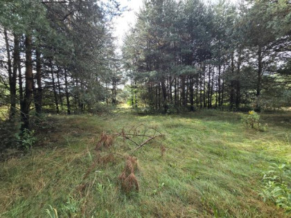 Działka Ożarowice