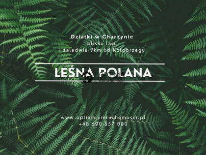 Działka Charzyno gm. Siemyśl, Zacisze