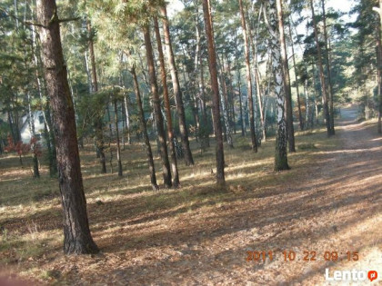 Sprzedaż