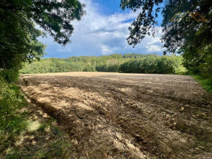 Działka rolno-budowlana Buchcice gm. Tuchów