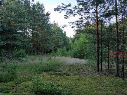 Działka budowlana Prace Duże gm. Tarczyn,