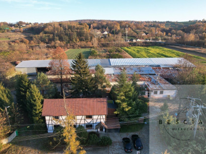 Lokal Świebodzin
