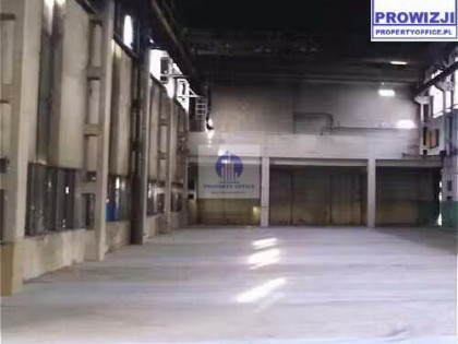 Lokal użytkowy Warszawa Praga-Północ, Pelcowizna, Modlińska