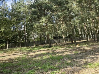 Działka budowlana Poręby gm. Zduńska Wola