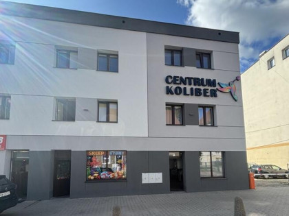 Lokal użytkowy Trzebnica, Św. Jadwigi