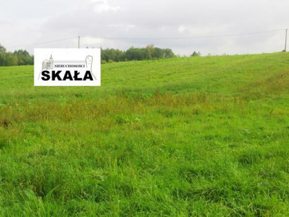 Działka rolna Sąspów gm. Jerzmanowice-Przeginia