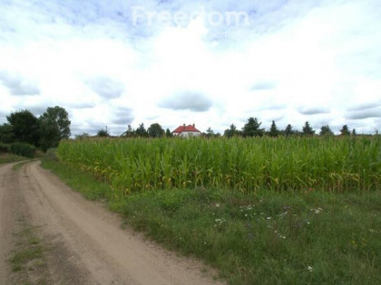 DZIAŁKA 6550 m² Z WARUNKAMI ZABUDOWY – WOŹNAWIEŚ