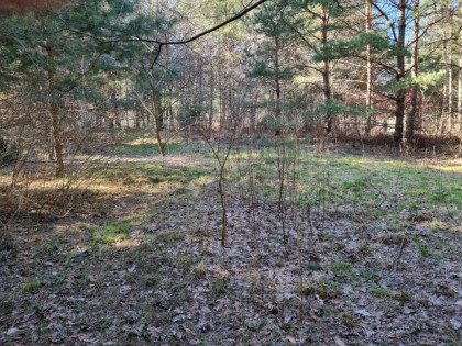 Działka Strzeniówka