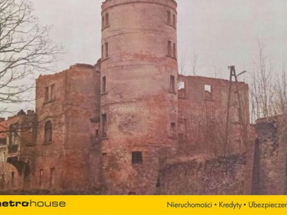 Ruiny Willi i Pałacu w Starej Kraśnicy + 2,8 ha