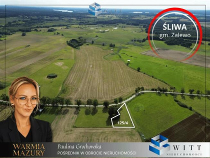 Działka Śliwa gm. Zalewo