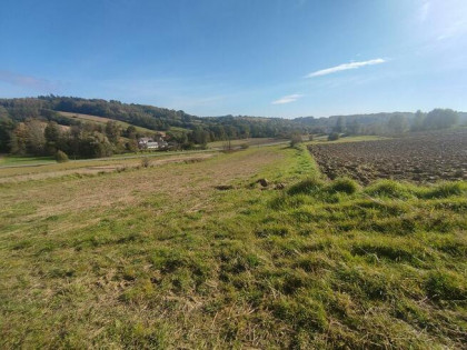 Jodłowa-widokowa działka o powierzchni 3.81 ha