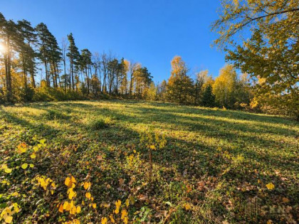 Działka budowlana Kornatka gm. Dobczyce, Kornatka