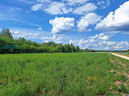 Działka Kamionka