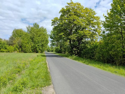 Działka budowlana Borkowice gm. Dłutów,