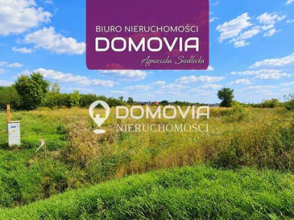 Działka budowlana Zamość Karolówka, Sasanki