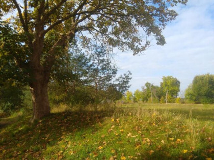 Działki budowlane Barlinek / Mostkowo