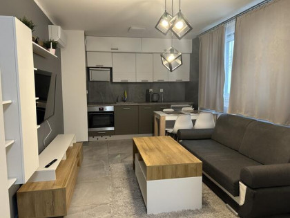 Lokal mieszkalny do wynajęcia