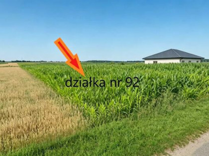 Działka budowlana Grodzisk gm. Zbuczyn