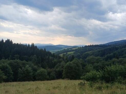 Działka rolno-leśna w górach- Beskid Sądecki, gm. Muszyna.